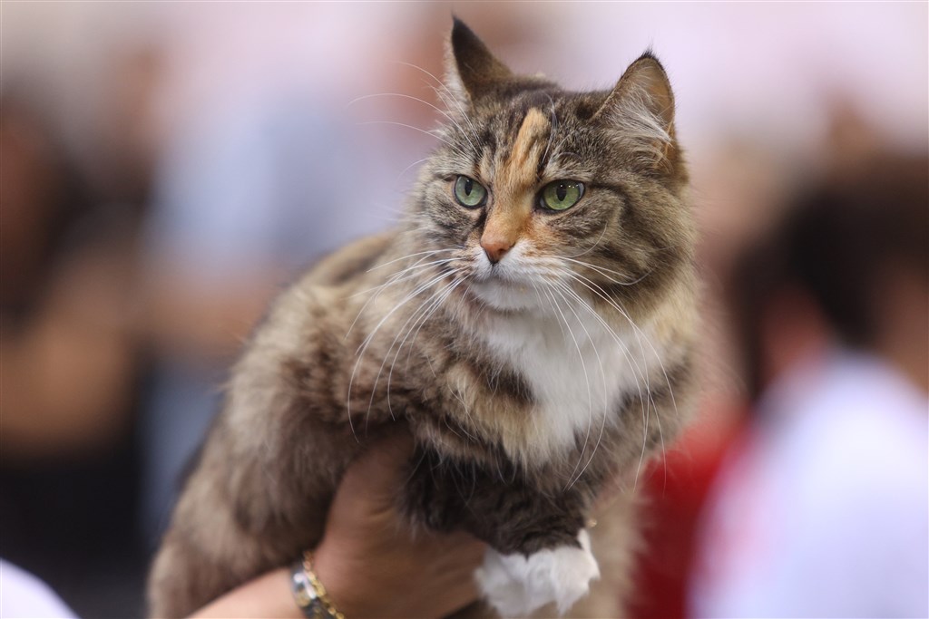 Kijk en daar zit dus z'n hol