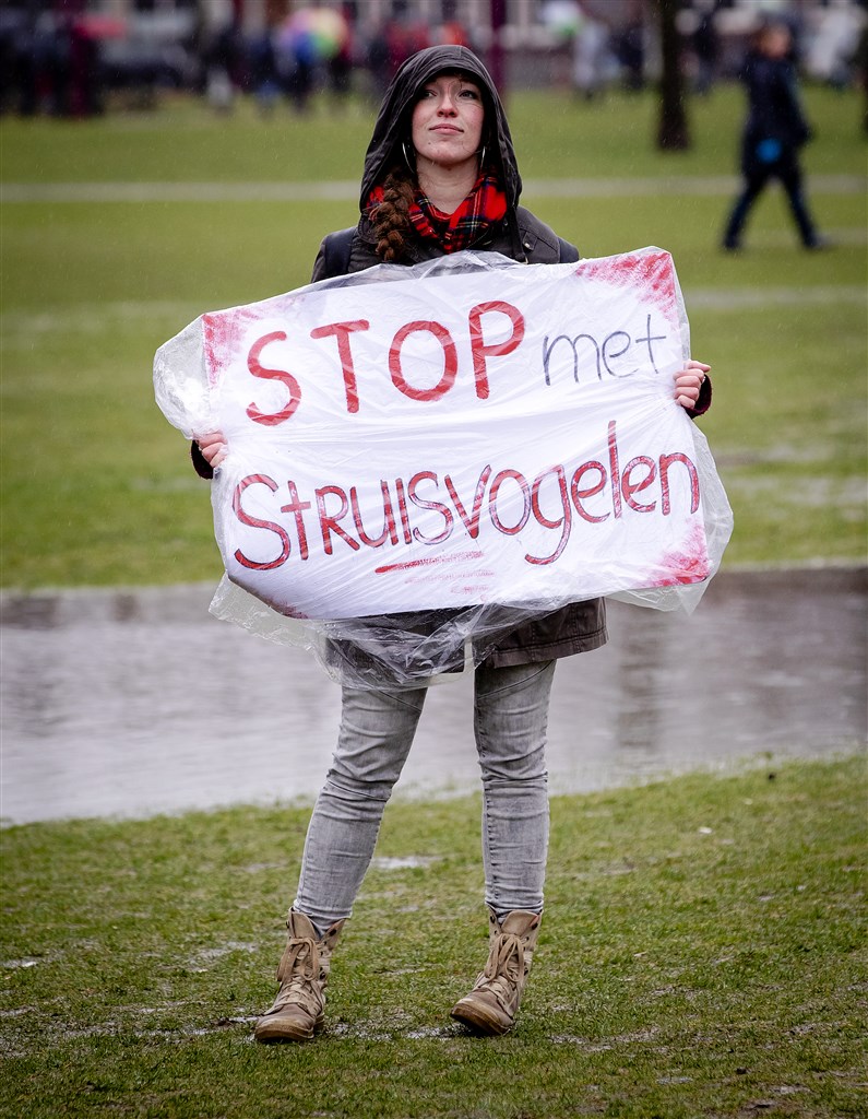 Lekkel makkelijk: Alles is de schuld van Mark