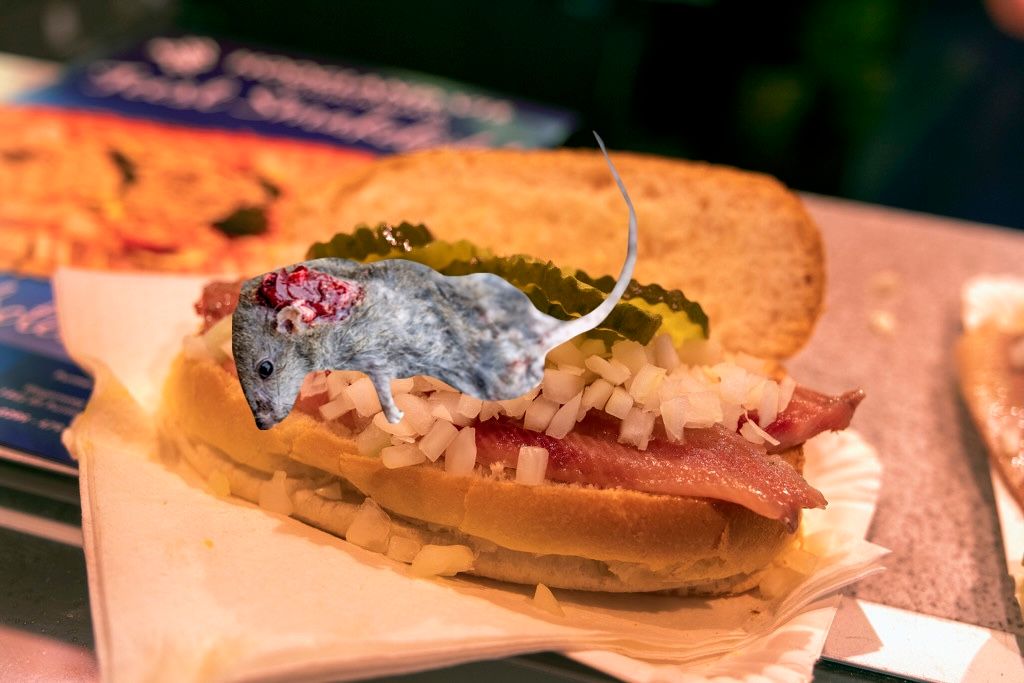 broodje van broodjeszaak met rat 