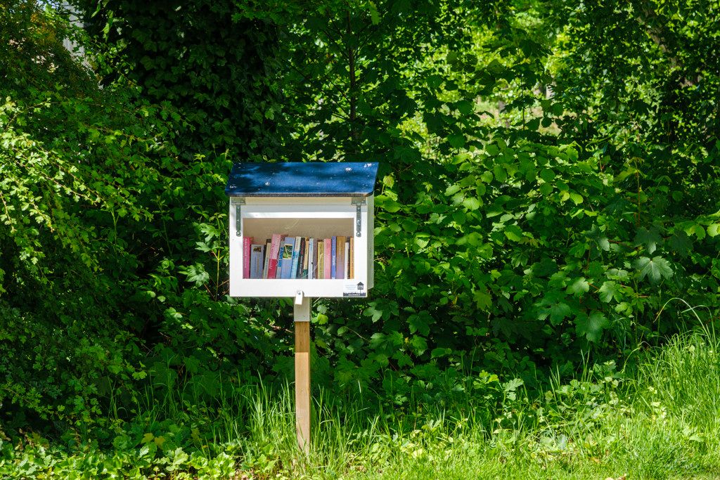door trouw gehaat buurtboekenkastje