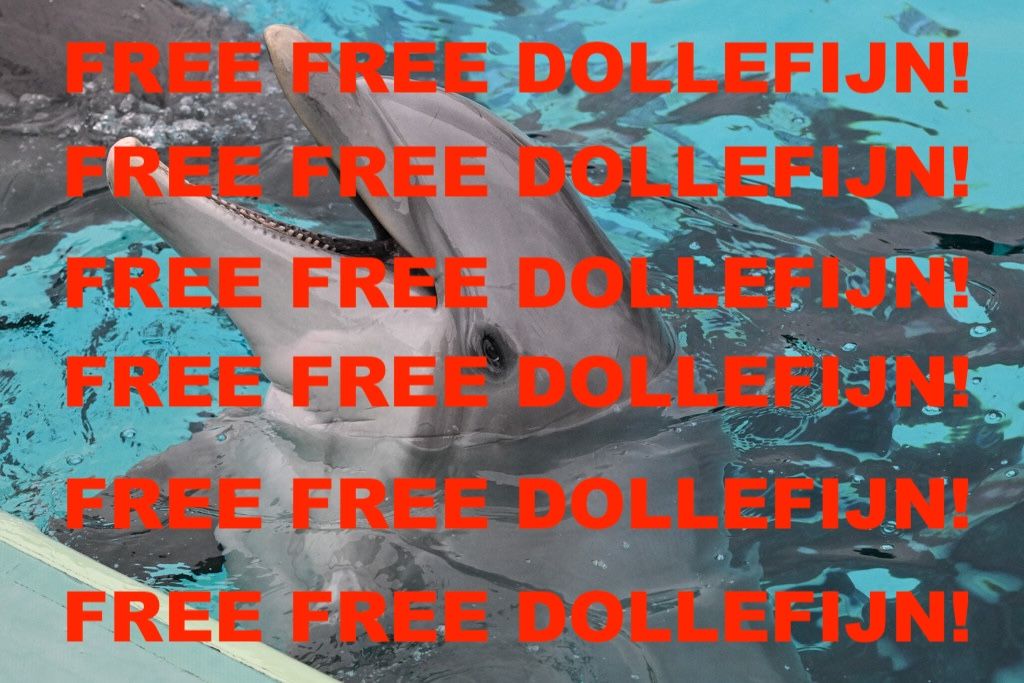 free free willy