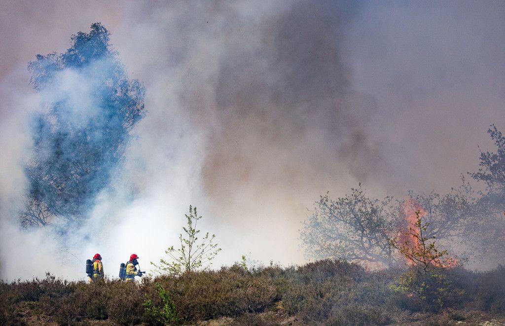 Brandweer blust natuurbrand op heide