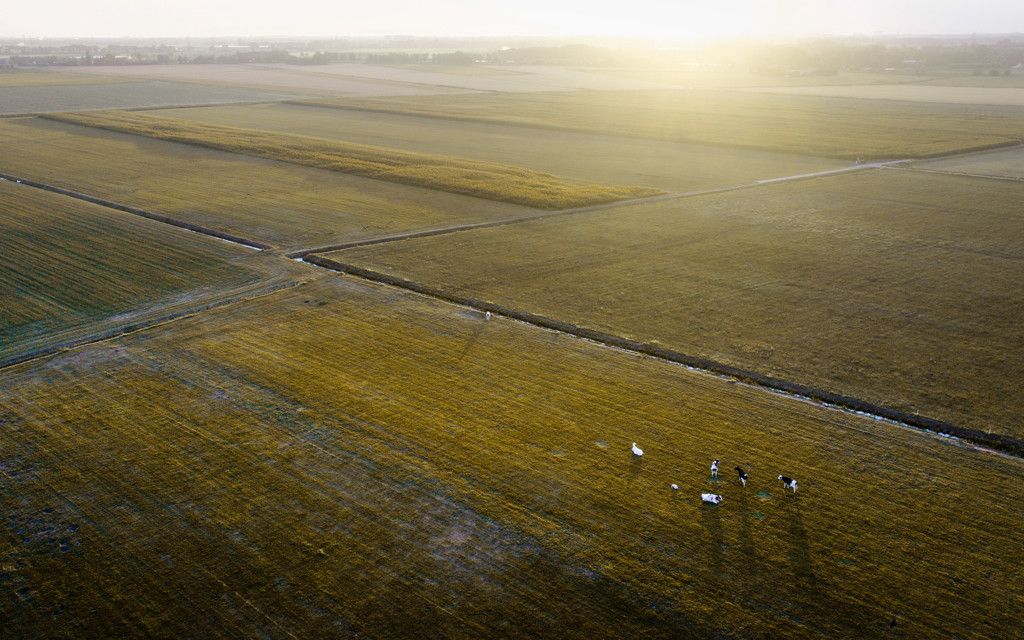 droog land