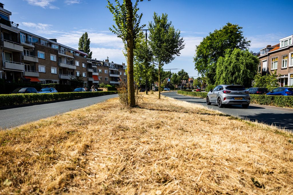 droge middenberm