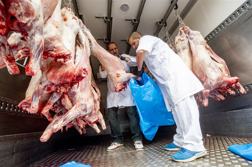 Schaap, lam, geit. Er is genoeg!