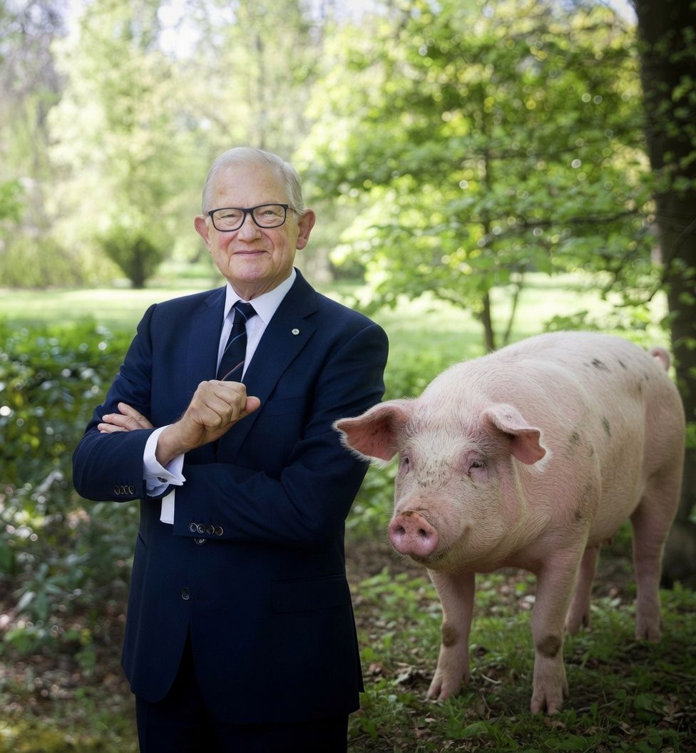 pieter van vollenhoven met een (feest)varken