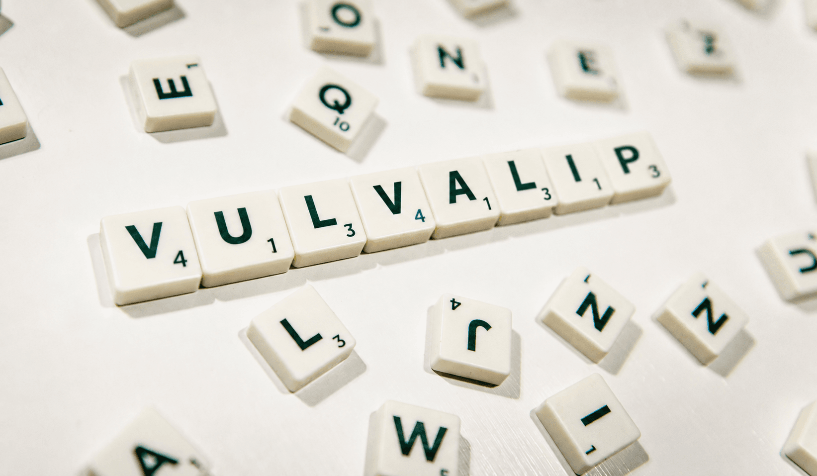 vulvalip